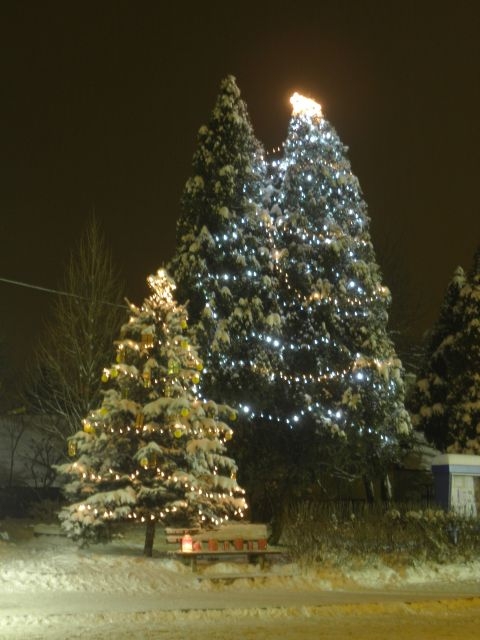 Slavnostní rozsvícení vánočního stromu 