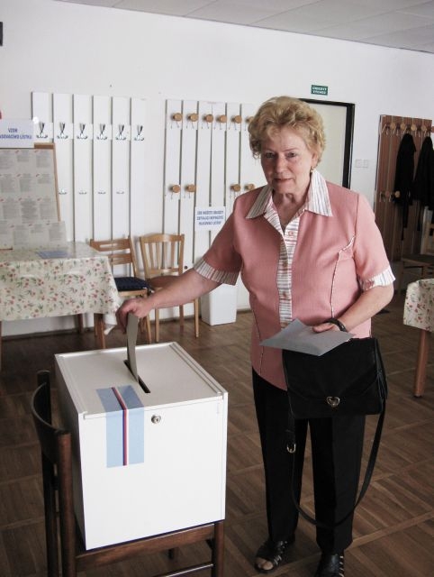 Volby do Poslanecké sněmovny, květen 2010 